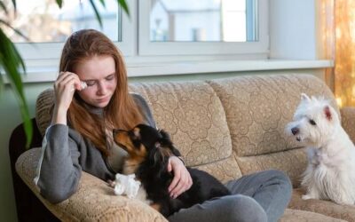 Jak rozpoznać objawy depresji u swojego psa?